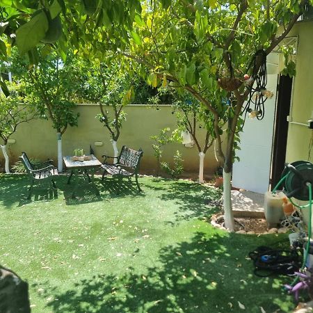 Petach Tikva B&B Amit 18 Minutes From The Airport - אירוח כפרי עמית 18 דקות משדה תעופה מראה חיצוני תמונה